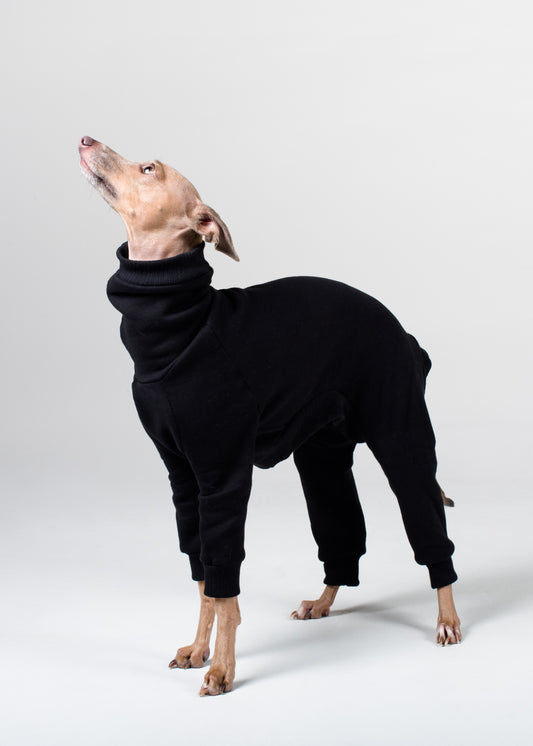 Italian Greyhound Thick Cotton Full Suit | Black