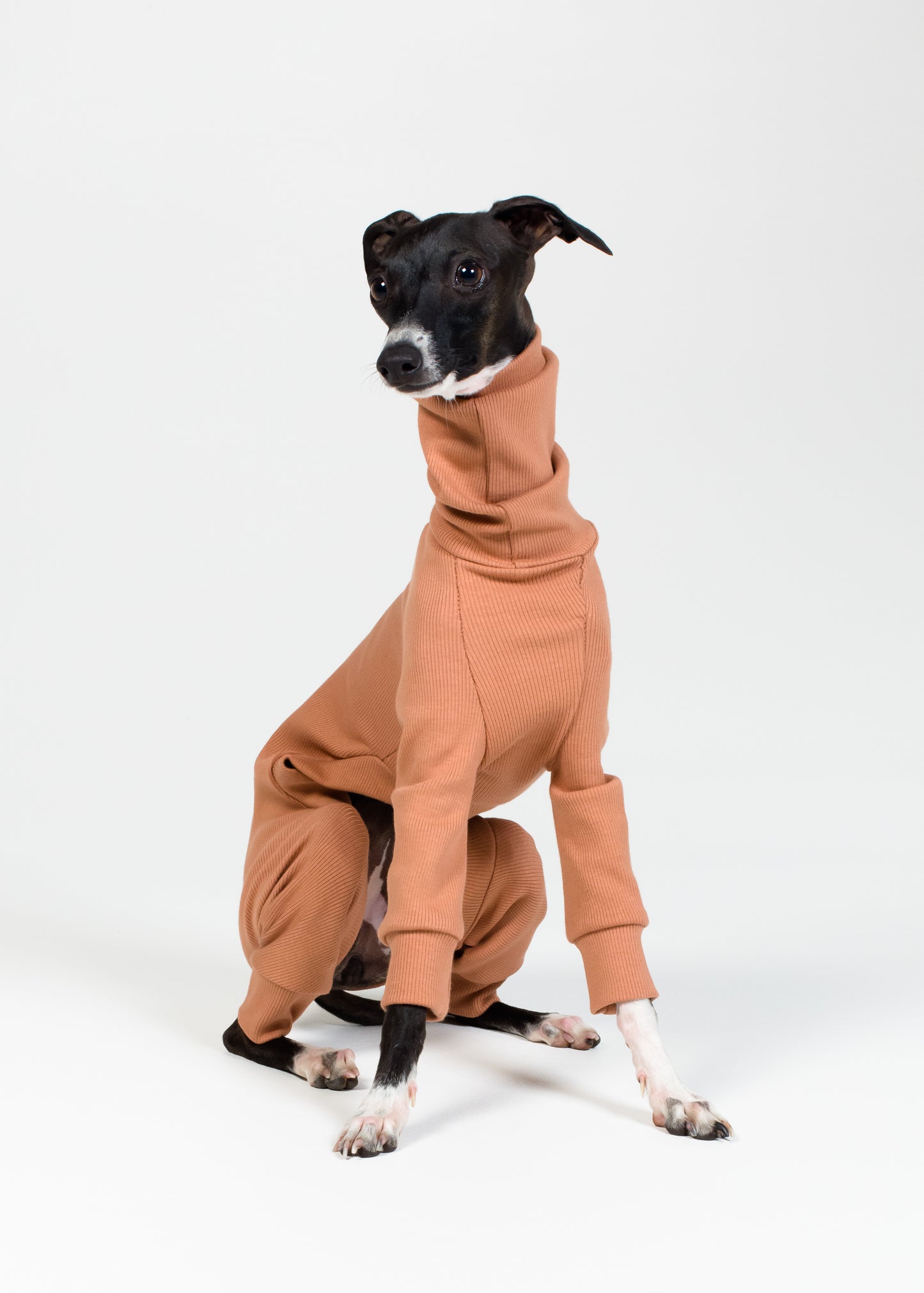 Italian Greyhound Rib Full Suit | Clay