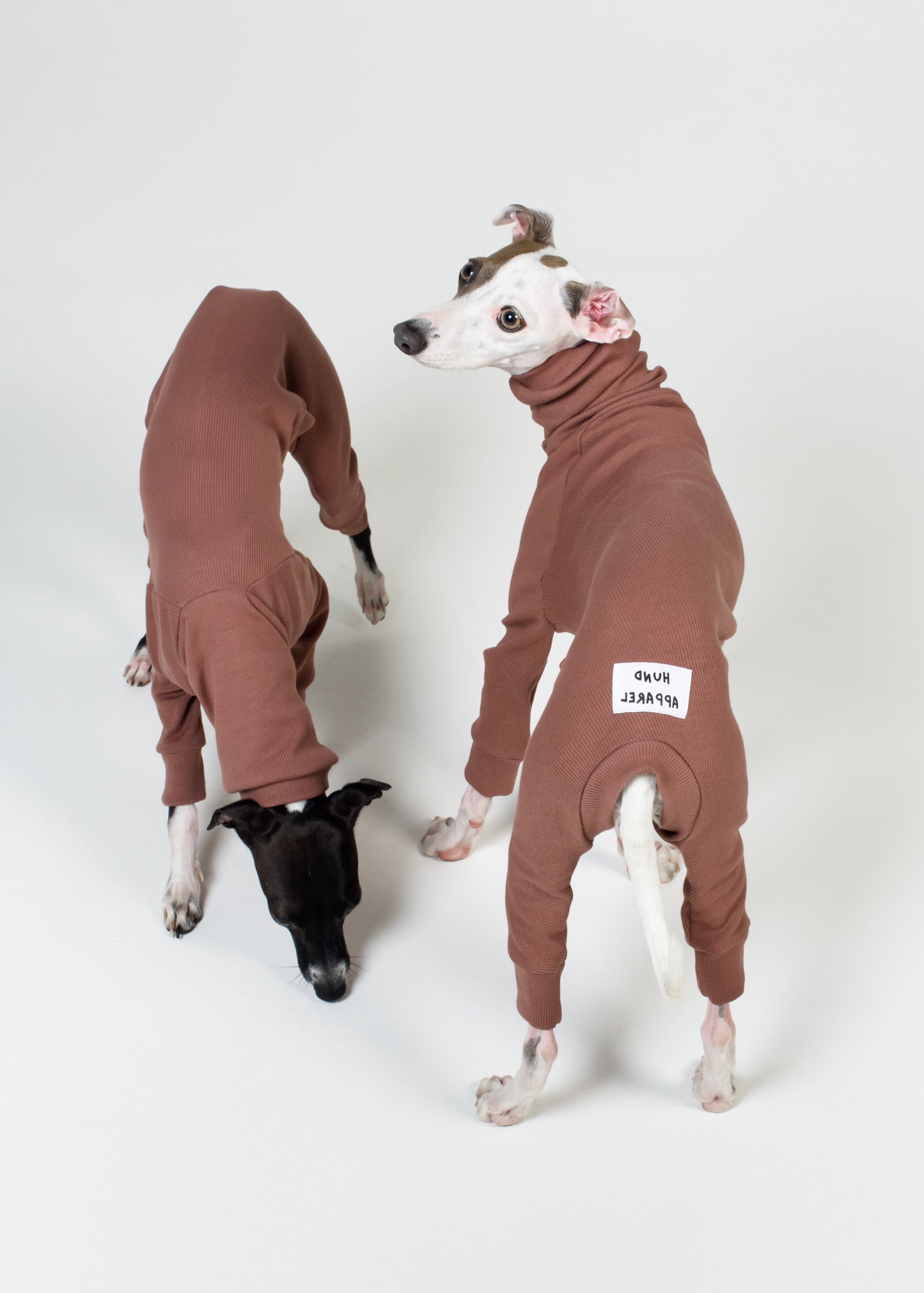 Italian Greyhound Rib Full Suit | Raisin