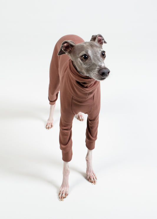 Italian Greyhound Rib Full Suit | Raisin