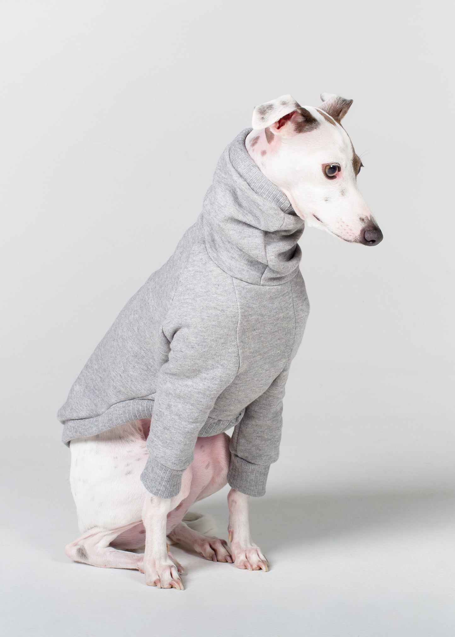 Italian Greyhound Thick Cotton Jumper | Light grey