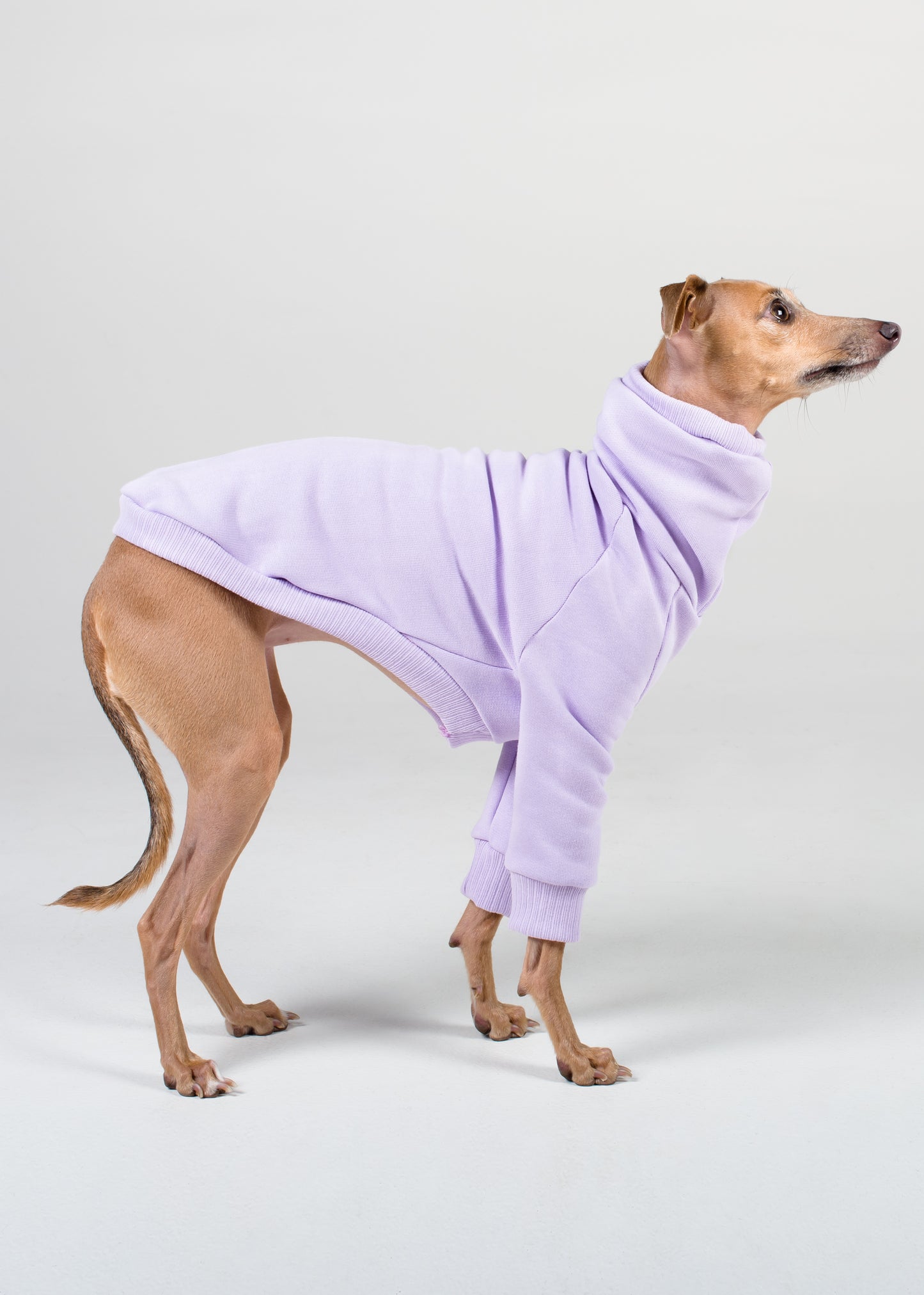 Italian Greyhound Thick Cotton Jumper | Lilac