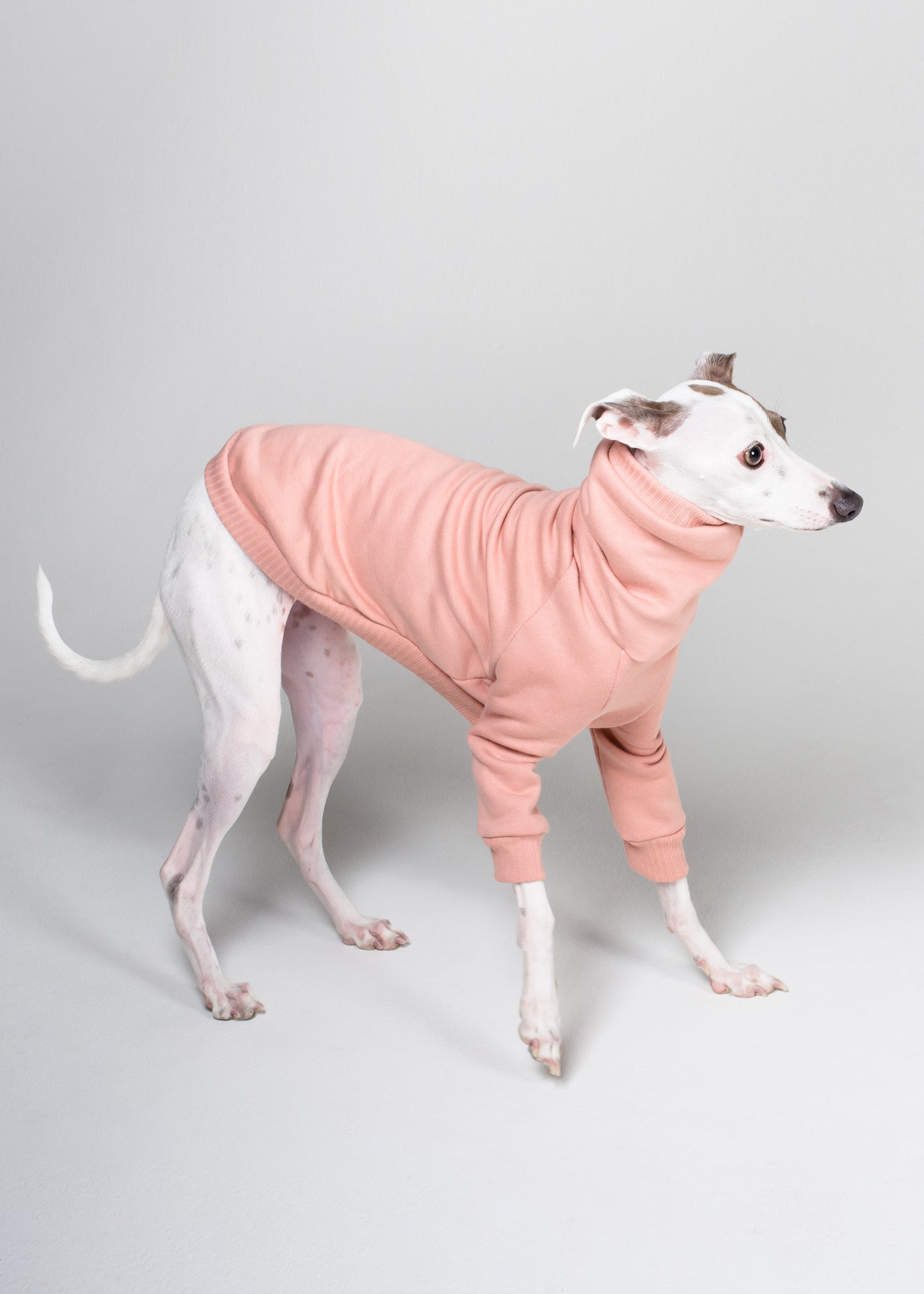 Italian Greyhound Thick Cotton Jumper | Rose Gold