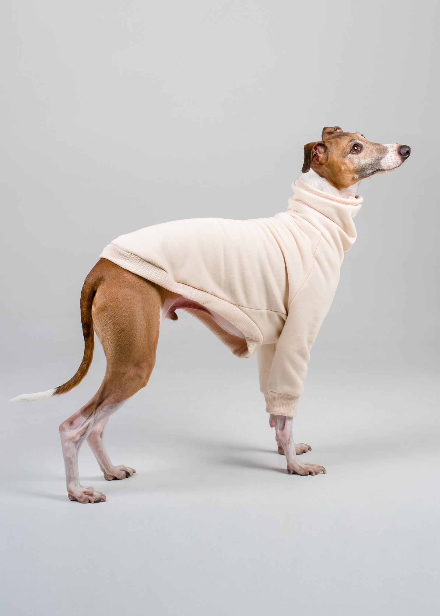 Italian Greyhound Thick Cotton Jumper | Vanilla