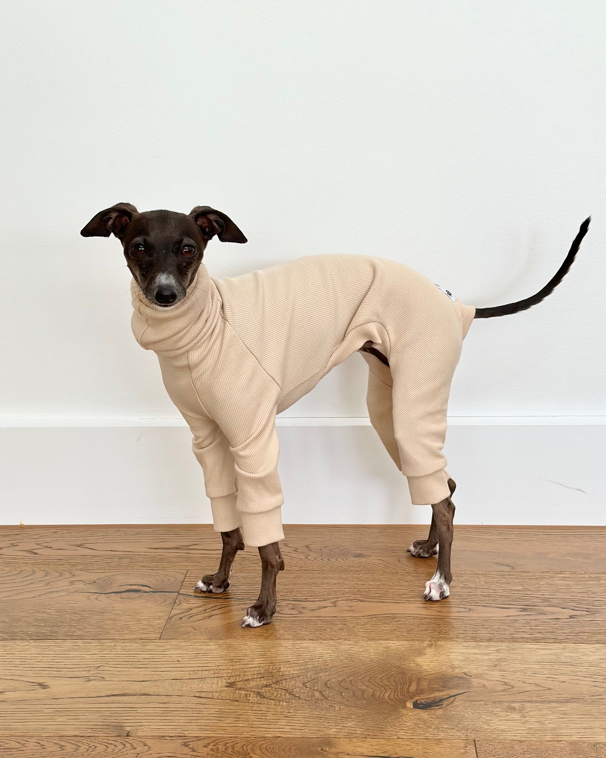 Italian Rib Full Suit | Sand – Hund Apparel