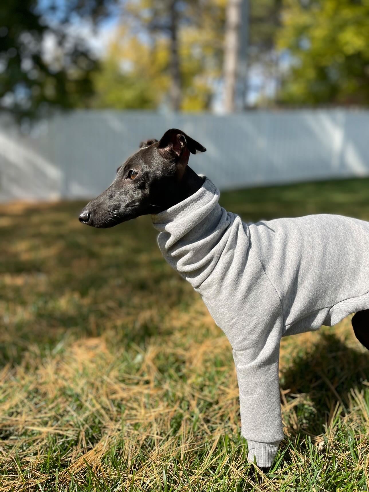 Italian Greyhound Thick Cotton Jumper | Light grey