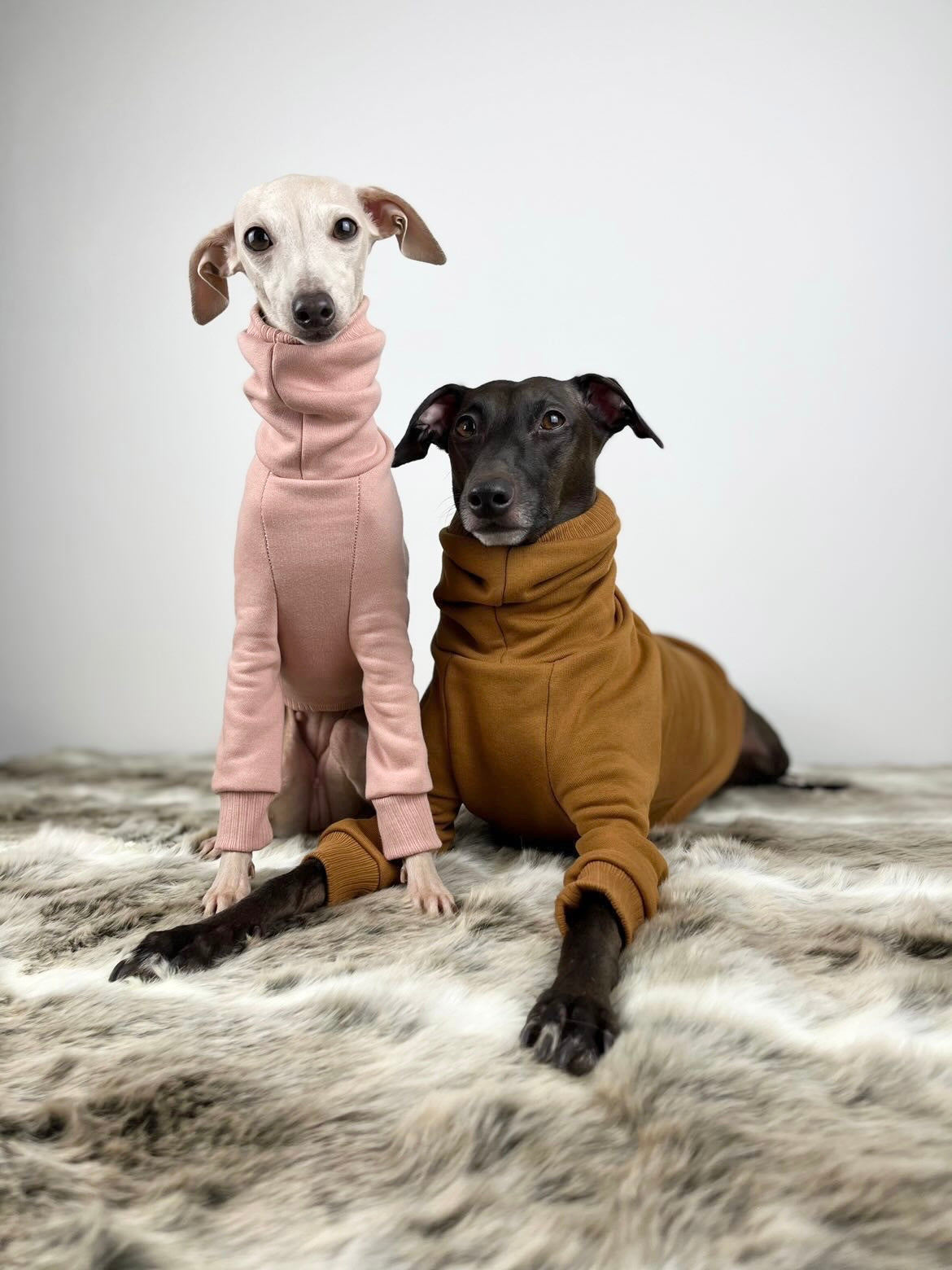 Greyhound jumpers for sale on sale