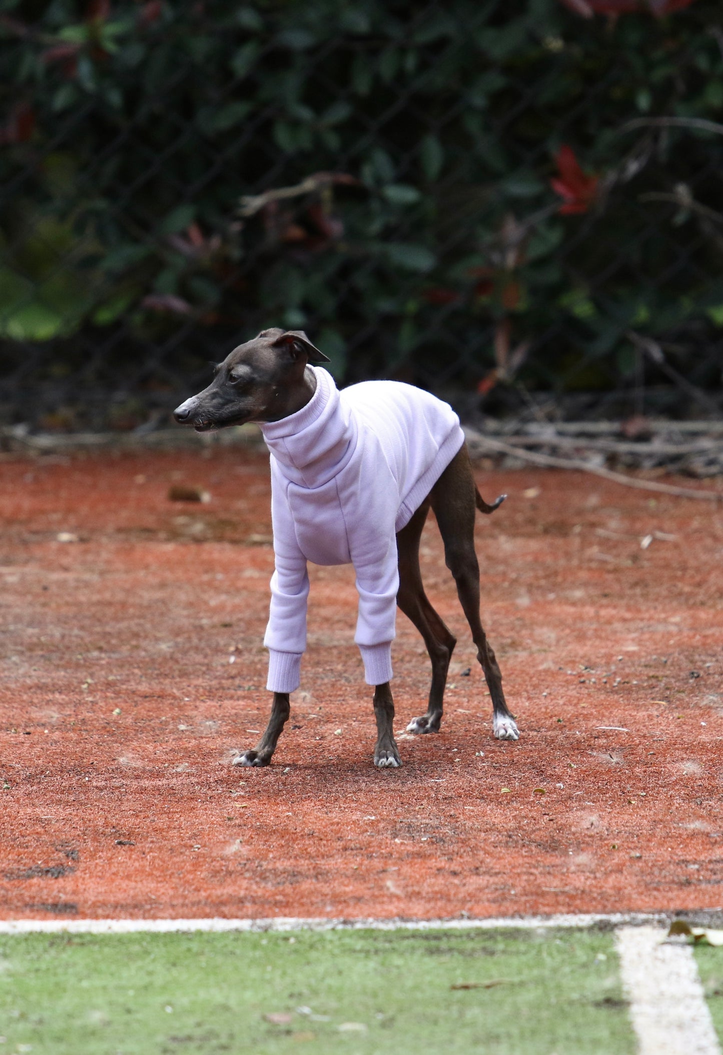 Italian Greyhound Thick Cotton Jumper | Lilac