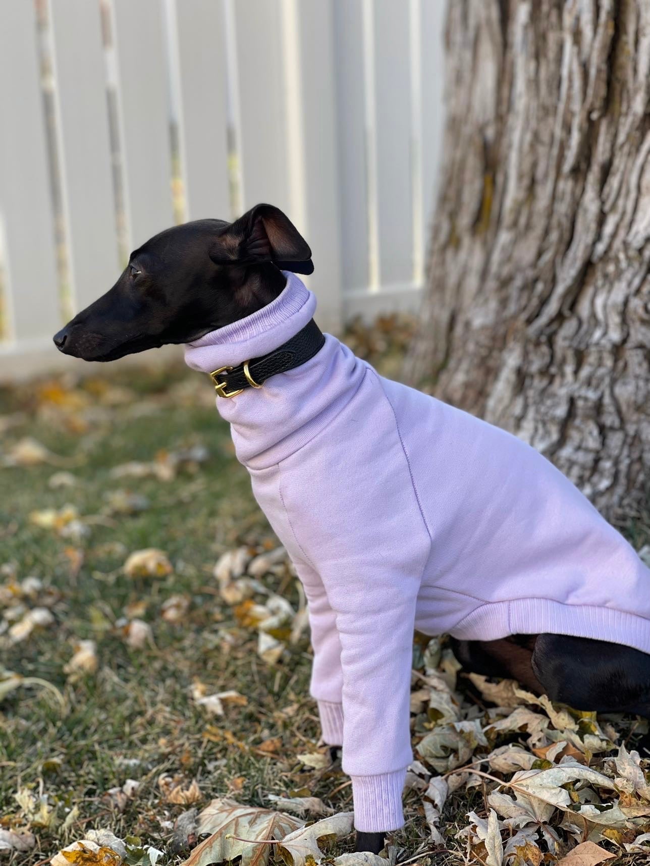 Greyhound jumpers for sale on sale